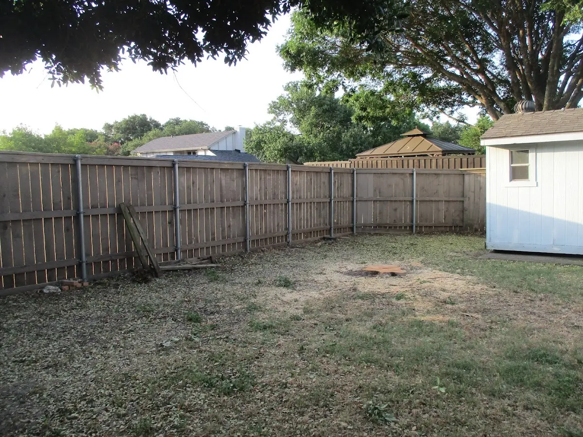 Cleared yard after professional tree removal in Manchester